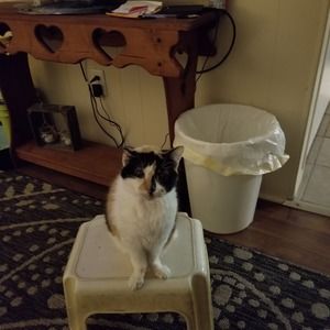 Meet your Posher, Sally